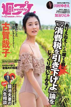 《婆婆也是妈电视剧》